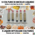 Bundle 5 Colture Liquide | 50+ Varietà Funghi Gourmet | Micelio Premium