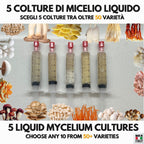 Bundle 5 Colture Liquide | 50+ Varietà Funghi Gourmet | Micelio Premium