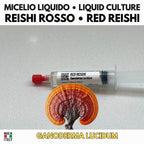 Coltura Liquida Reishi Rosso | Ganoderma lucidum Premium