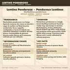 Neolentinus ponderosus Coltura Liquida Micelio Fungo Raro Gourmet