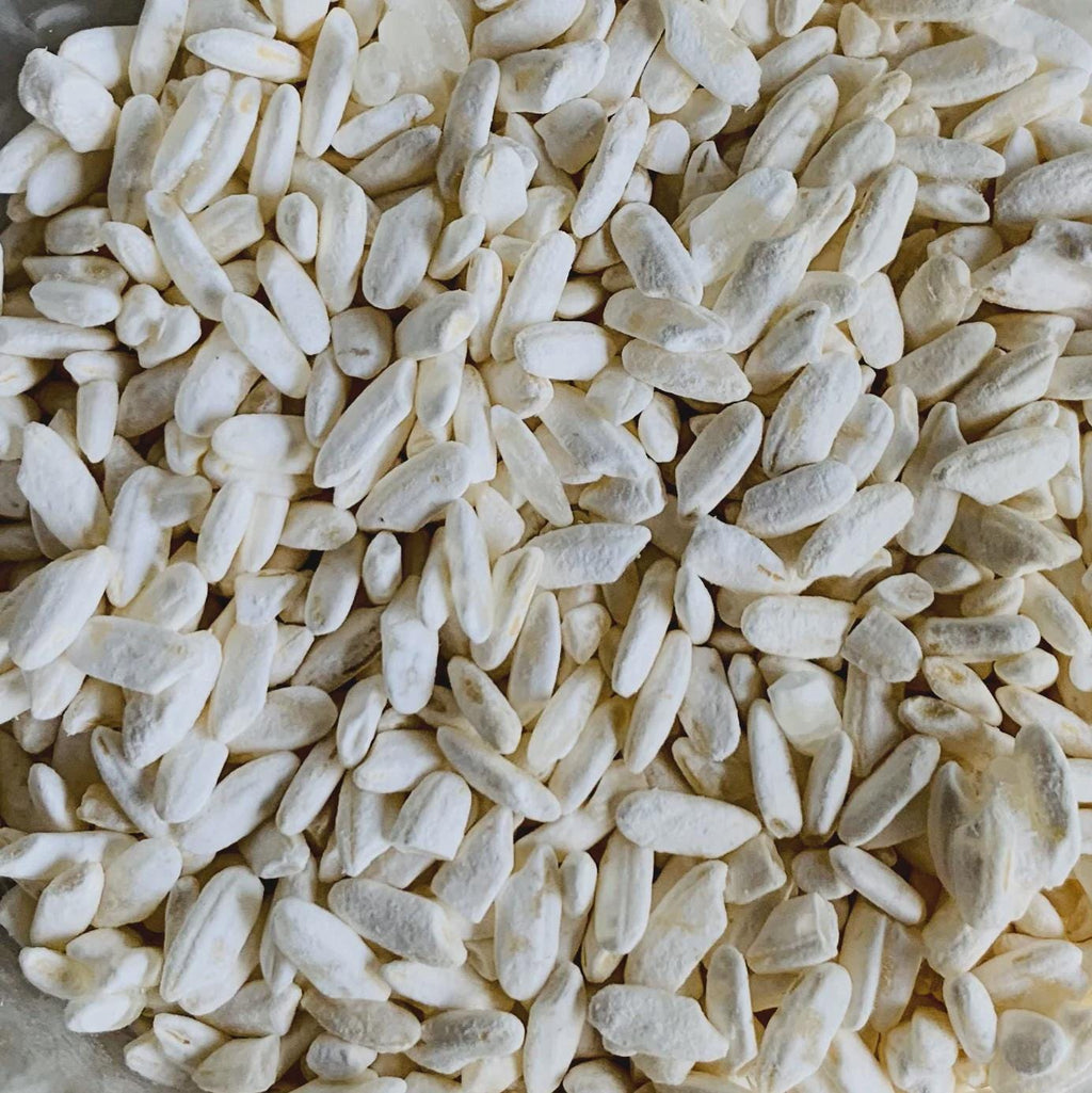 Koji Bianco Aspergillus oryzae Slant Agar | Coltura Premium