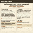 Koji Green Proteo Aspergillus oryzae Piastra Petri Colonizzata