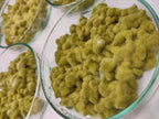 Slant Koji Proteo Verde • Aspergillus oryzae • Garum e Koji Carne
