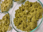 Piastra Petri Koji Green Amilo | Aspergillus oryzae per Miso