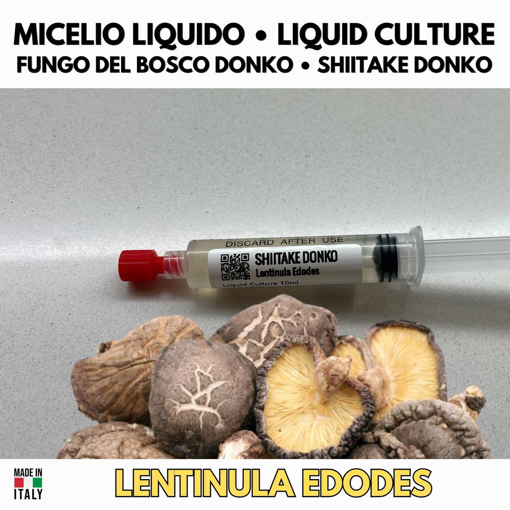 Slant di colture miceli G1 funghi gourmet Pioppino Cardoncello Pleurotus rosa Shiitake Donko cultura madre agar per produzione spawn