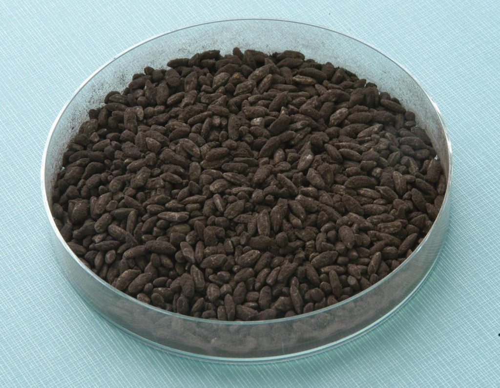 Aspergillus Luchuensis Kuro Koji – Slant Agar per Fermentazione