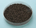 Aspergillus Luchuensis Kuro Koji – Slant Agar per Fermentazione