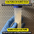Aspergillus Luchuensis Kuro Koji – Slant Agar per Fermentazione