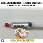 Hericium americanum Coltura Liquida | Ericio Americano LC