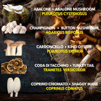 Bundle 5 Colture Liquide | 50+ Varietà Funghi Gourmet | Micelio Premium