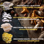 Bundle 5 Colture Liquide | 50+ Varietà Funghi Gourmet | Micelio Premium