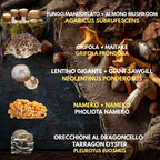 Bundle 5 Colture Liquide | 50+ Varietà Funghi Gourmet | Micelio Premium