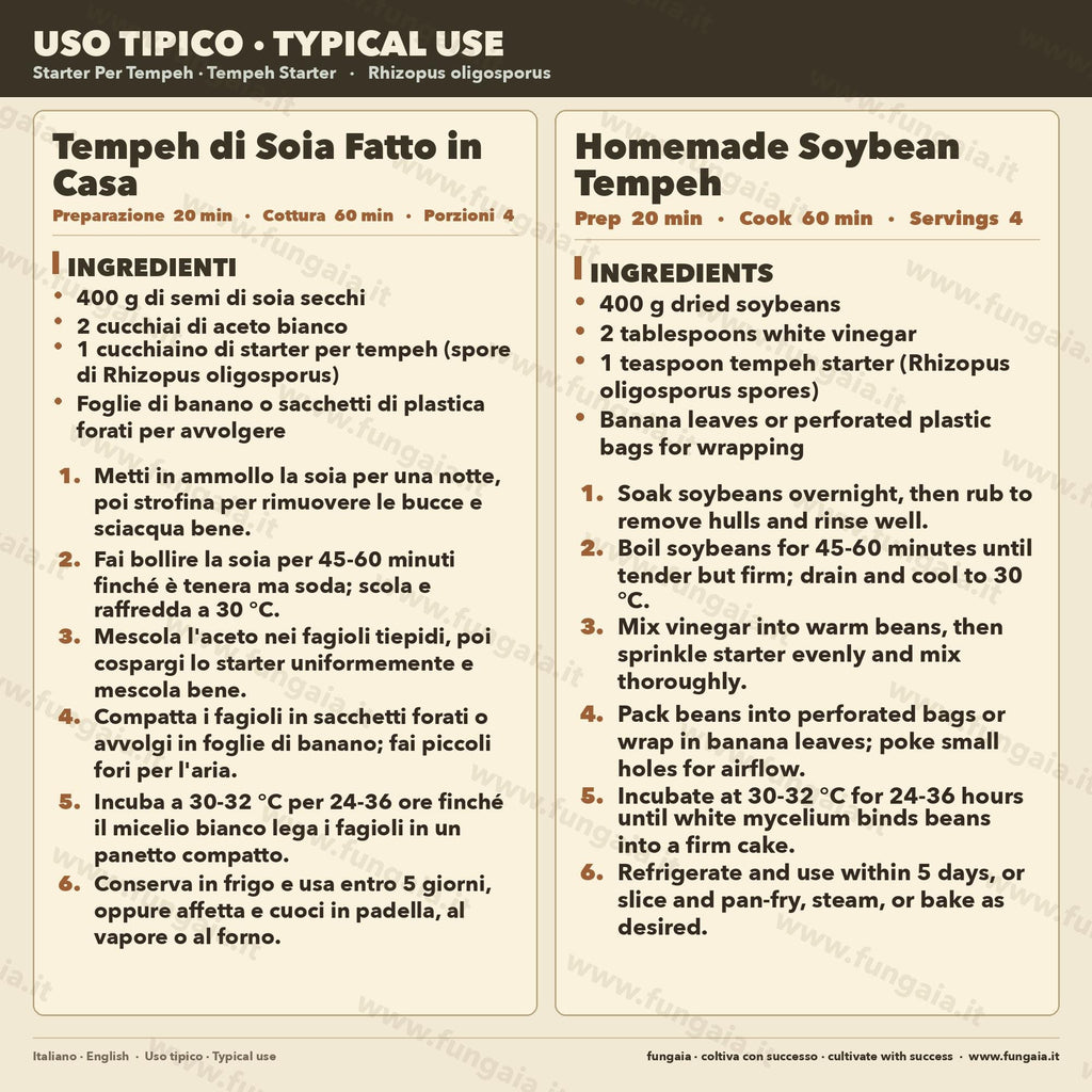Rhizopus oligosporus Liquid Culture 10ml – Tempeh Starter for Traditional Indonesian Fermentation
