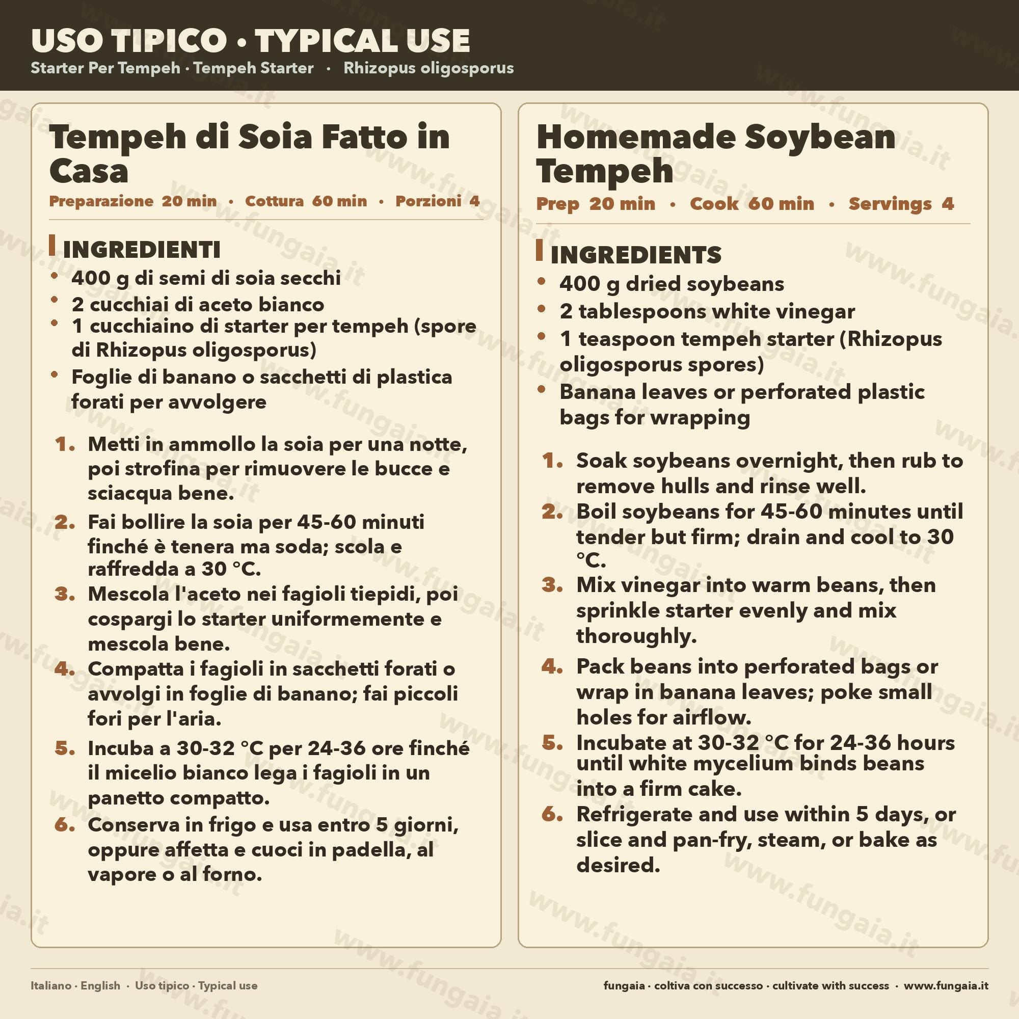Rhizopus oligosporus Liquid Culture 10ml – Tempeh Starter for Traditional Indonesian Fermentation