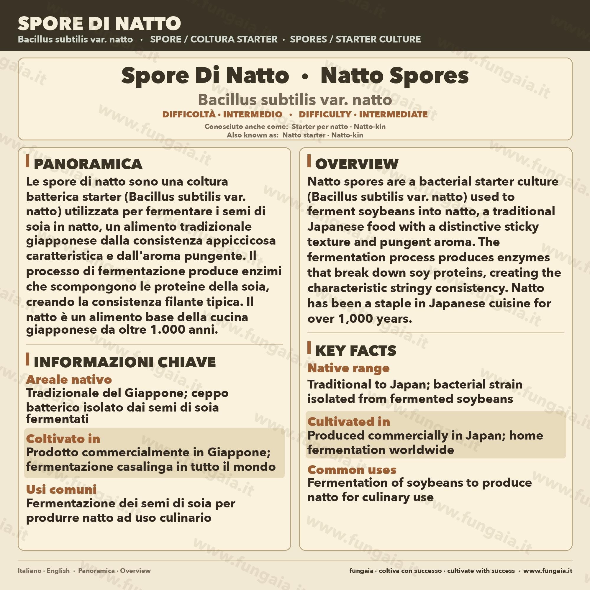 Bacillus subtilis Natto Spores – Agar Slant for Traditional Japanese Fermentation Culture