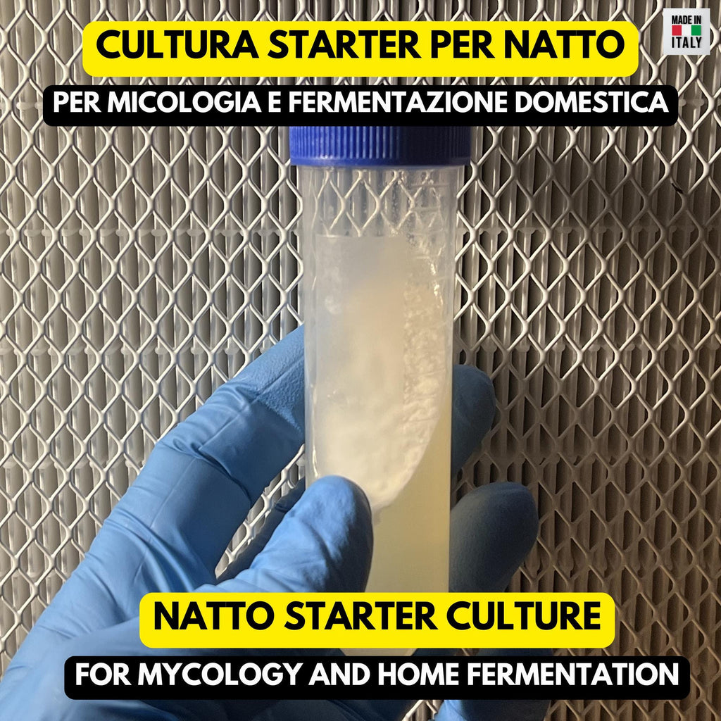 Bacillus subtilis Natto Spores – Agar Slant for Traditional Japanese Fermentation Culture