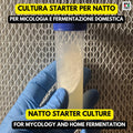 Bacillus subtilis Natto Spores – Agar Slant for Traditional Japanese Fermentation Culture