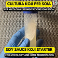 Aspergillus Sojae Agar Slant | Koji Culture for Miso, Shoyu & Soy Fermentation