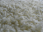 Aspergillus Sojae Agar Slant | Koji Culture for Miso, Shoyu & Soy Fermentation