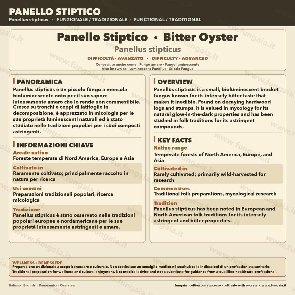 Panellus stipticus Liquid Culture 10ml | Bioluminescent Bitter Oyster Mushroom Culture for Mycology
