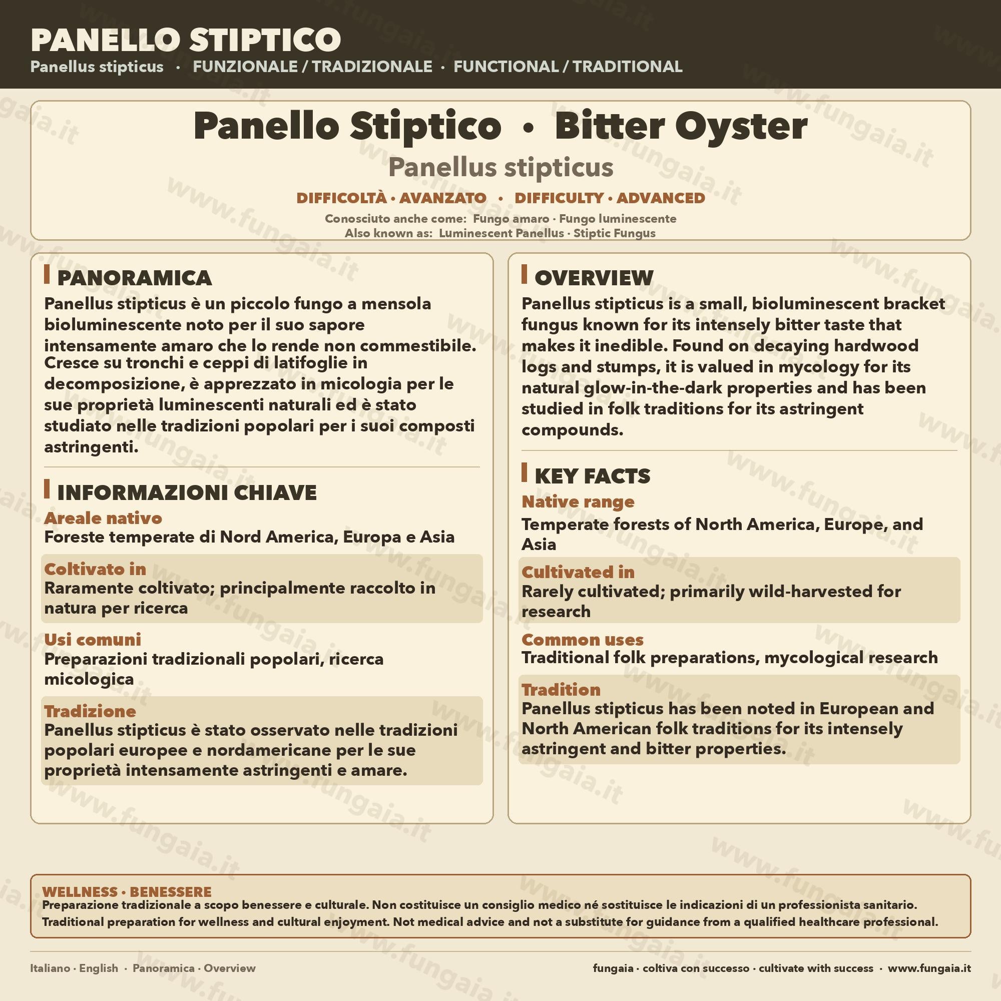 Panellus stipticus Liquid Culture 10ml | Bioluminescent Bitter Oyster Mushroom Culture for Mycology