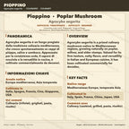 Agrocybe aegerita Liquid Culture 10ml | Pioppino Black Poplar Mushroom | Gourmet Cultivation Starter