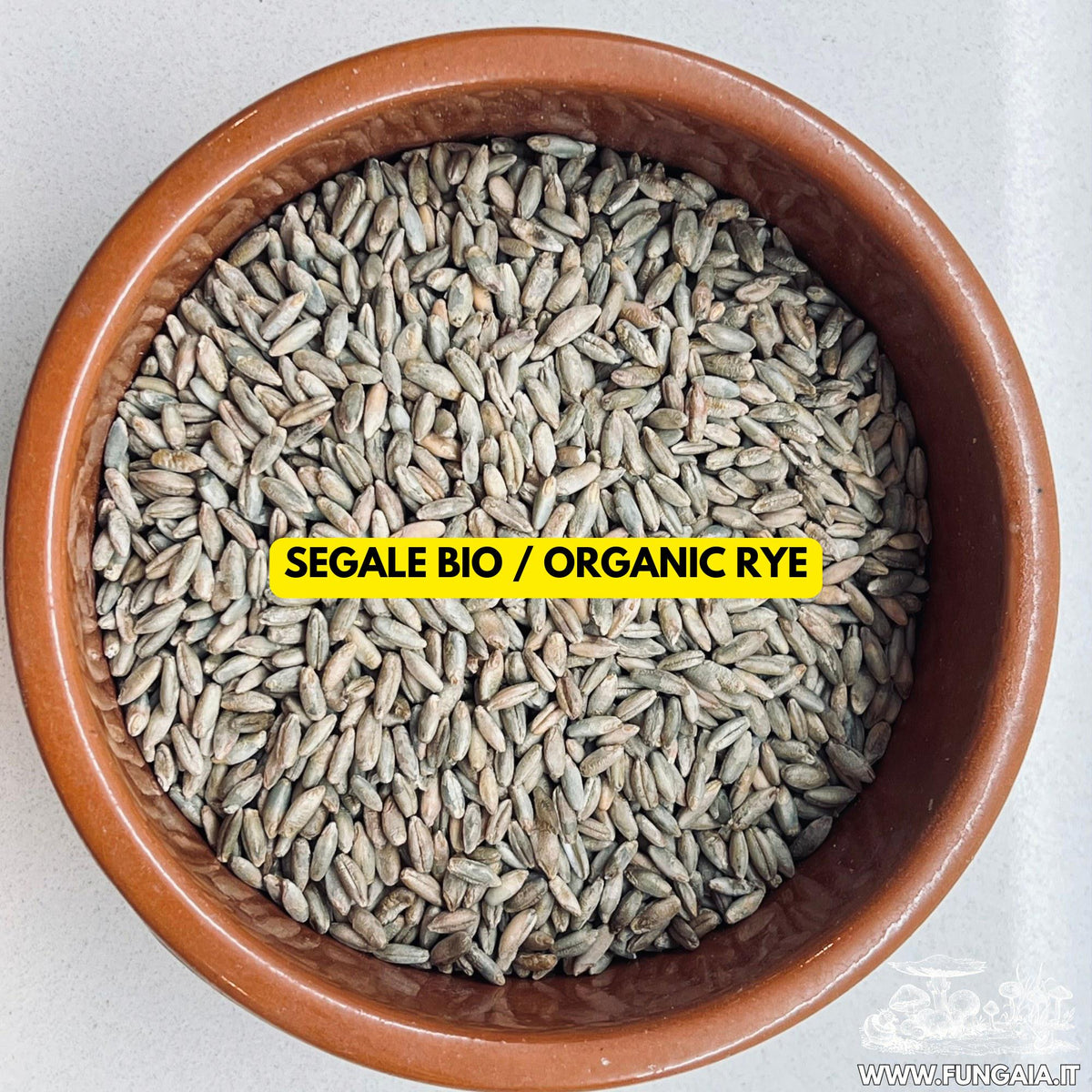 Sterilized Rye Grain Spawn Jar 500g — 1L Bormioli