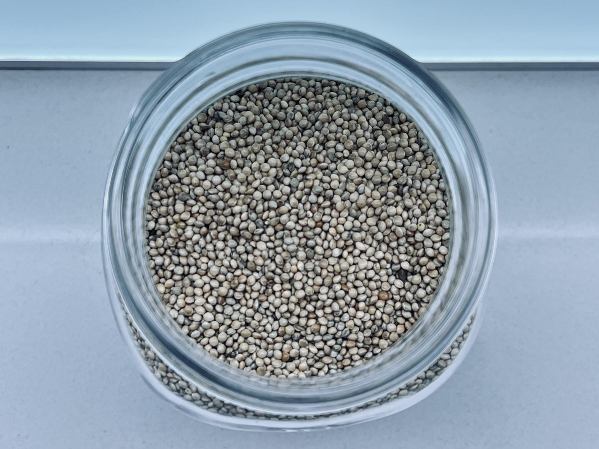 Sterilized Millet Grain Spawn Jar 500g — 1L Bormioli