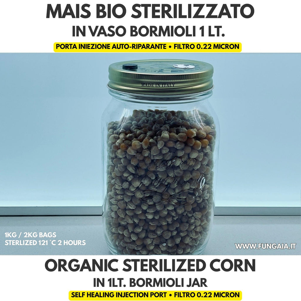 Mais Sterilizzato  — Vaso Bormioli 1L