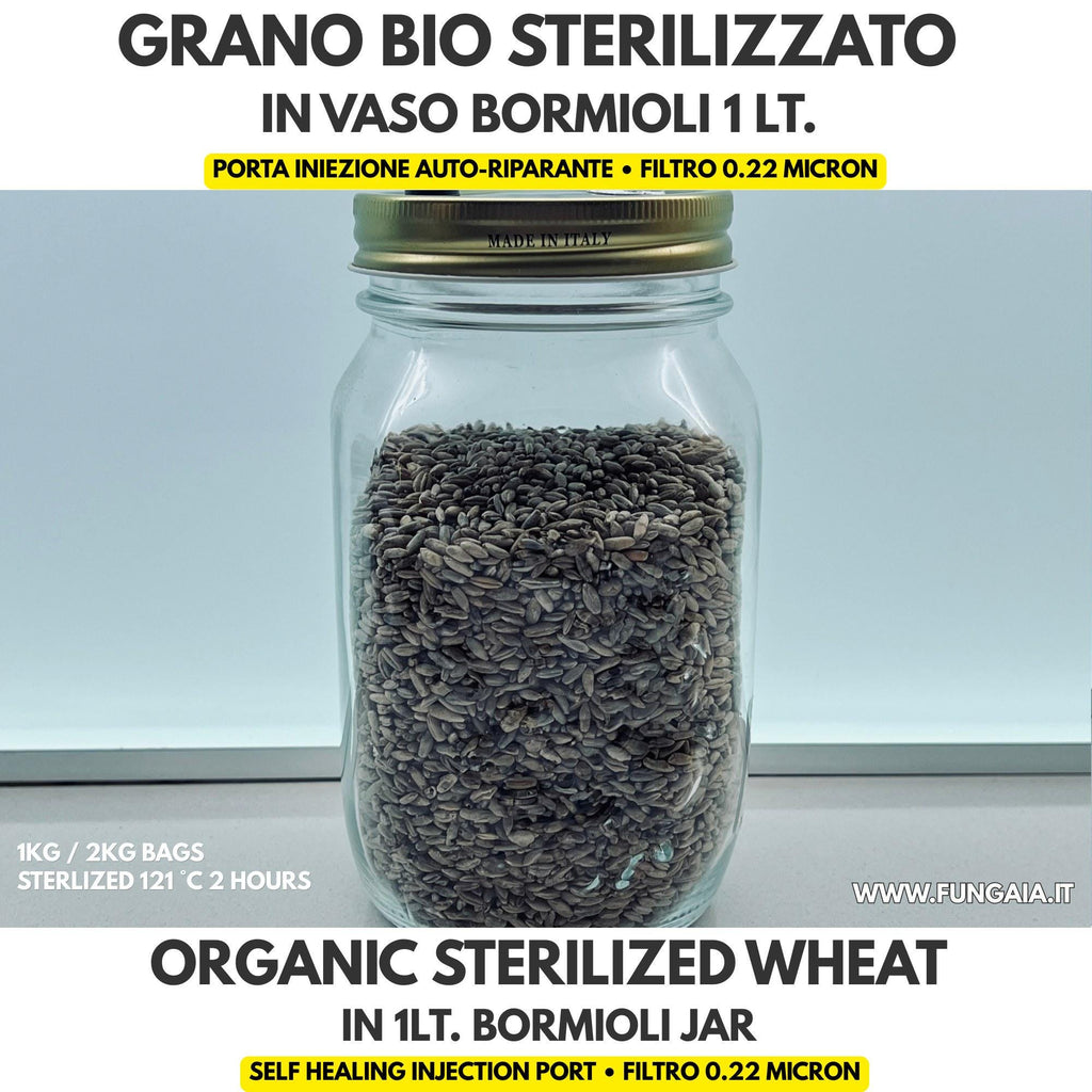Grano Bio Sterilizzato — Vaso Bormioli 1L