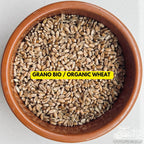 Grano Bio Sterilizzato — Vaso Bormioli 1L