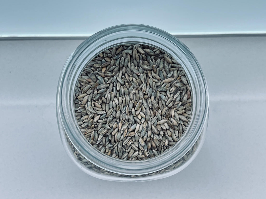 Sterilized Rye Grain Spawn Jar 500g — 1L Bormioli
