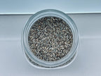 Sterilized Rye Grain Spawn Jar 500g — 1L Bormioli