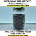 Sterilized Millet Grain Spawn Jar 500g — 1L Bormioli