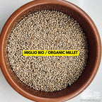 Sterilized Millet Grain Spawn Jar 500g — 1L Bormioli