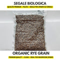 Organic rye grain for mushroom spawn