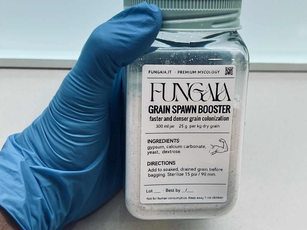 Grain spawn booster jar with gypsum yeast and dextrose