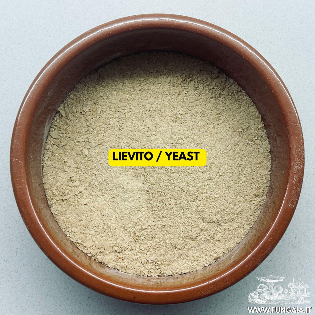 Grain spawn booster jar with gypsum yeast and dextrose