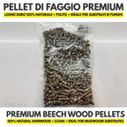 Premium natural beech wood pellets for mushroom substrate