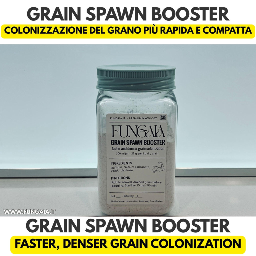 Grain spawn booster jar with gypsum yeast and dextrose