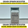 Grain spawn booster jar with gypsum yeast and dextrose